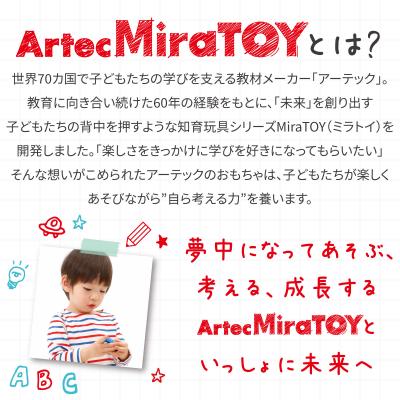 ふるさと納税 八尾市 ArtecMiraTOY　カラフルテトパズル(A356) |  | 03