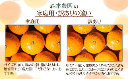 訳あり 森本農園の手選別 極早生みかん 6kg 和歌山県産 2S~2Lサイズ混合 ［北海道・沖縄・離島配送不可］［RN4］［2025年10月上旬から順次発送］