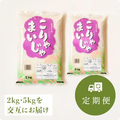 ふるさと納税 能登町 【毎月定期便】こりゃまいじゃ(能登町柳田産コシヒカリ)2kgと5kgを交互に!全12回