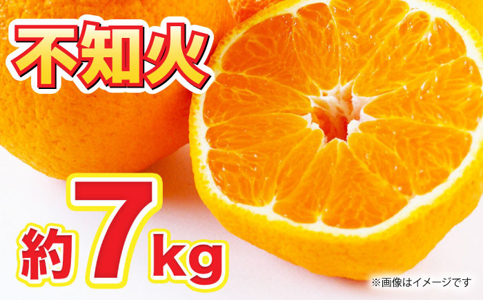 
            【先行予約】【数量限定】不知火 約7kg 【くまふる】柑橘 みかん 熊本 しらぬい 果物  [ZBG061]
          