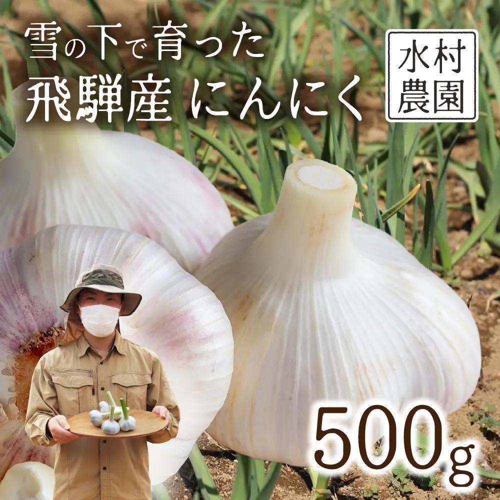 飛騨産 にんにく 500g ニンニク【7月中旬から12月発送】水村農園