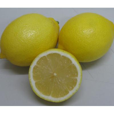 ふるさと納税 土庄町 【小豆島】【先行受付2027年】レモン　約3kg
