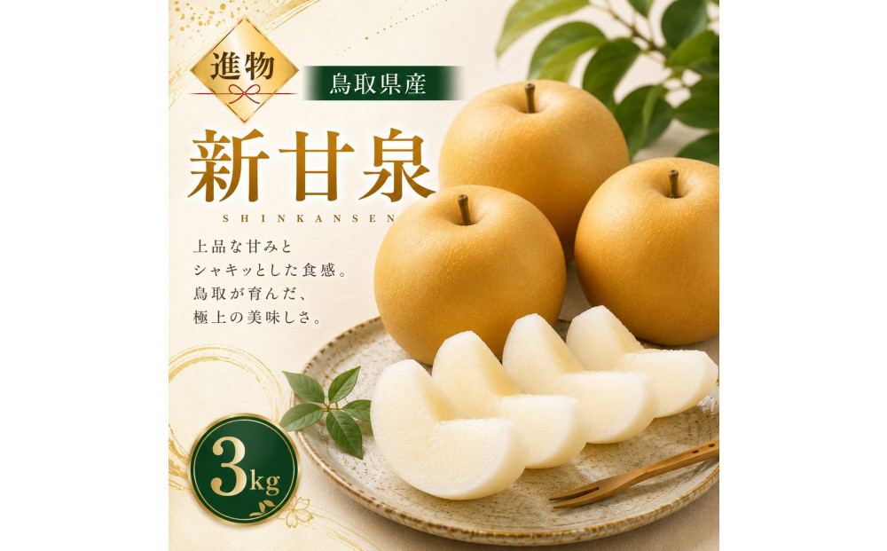 山根農園 新甘泉 3kg【2026年8月下旬以降発送】 313726_CY020