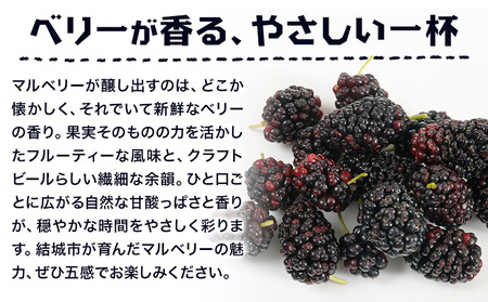 ビール つむぎエール 330ml × 6本 株式会社結城麦酒《30日以内に出荷予定(土日祝除く)》茨城県 結城市 ビール 酒 エール クラフトビール 瓶 国産 桑の実