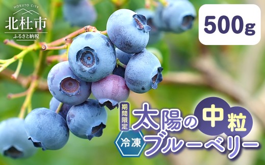 【中粒】山梨県産（明野産）冷凍 ブルーベリー500g　無農薬 新鮮 フルーツ くだもの 生果実 ベリー 北杜市産 期間限定 数量限定