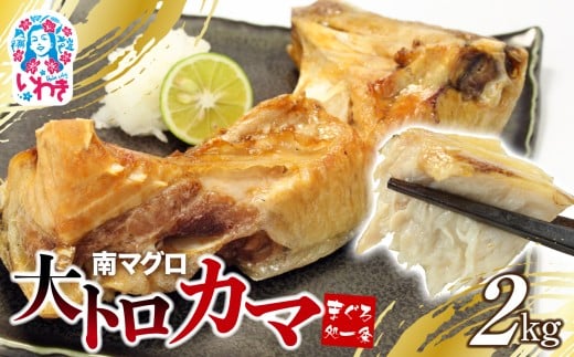 【年末配送12/24～31着日】南マグロ大トロカマ2kg 日時指定可能 加熱用 塩焼きや煮付けに|冷凍 塩焼き 煮付け まぐろ 鮪 マグロ 焼き魚 高級種 希少部位 発送時期が選べる 冷凍・指定日着可