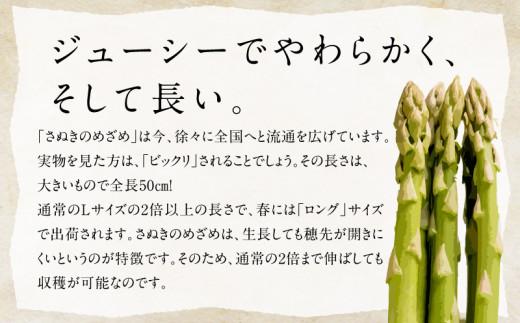 柔らかさと甘みが際立つ さぬきのめざめ春芽 約1kg【2025-3月上旬～2025-4月下旬配送】