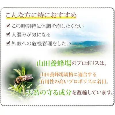 ふるさと納税 津山市 【毎月定期便】プロポリス粒 (486)全12回 |  | 01