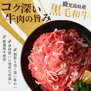 牛肉 鹿児島県産 黒毛和牛 切り落とし 900g 牛肉 IB112-001