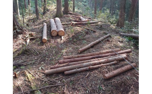 東濃ひのき薪 20kg×2箱 皮つき 国産 桧 ひのき ヒノキ アウトドア キャンプ 薪 まき ストーブ 焚火 暖炉 日用品 岐阜県 七宗町 福薪