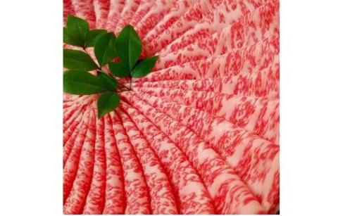 希少和牛 熊野牛ロース すき焼き用 約500g ＜冷蔵＞【sim100】