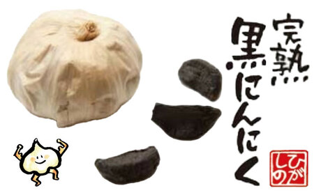 恵那産 完熟黒にんにく 8袋 / 恵那市 / 東野 [AUCI001]