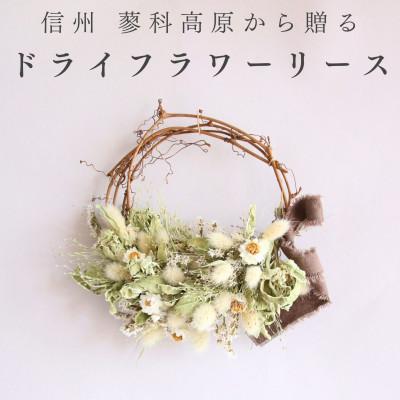 ふるさと納税 茅野市 信州八ヶ岳の麓から贈るドライフラワーリース Sハーフ(グリーン)