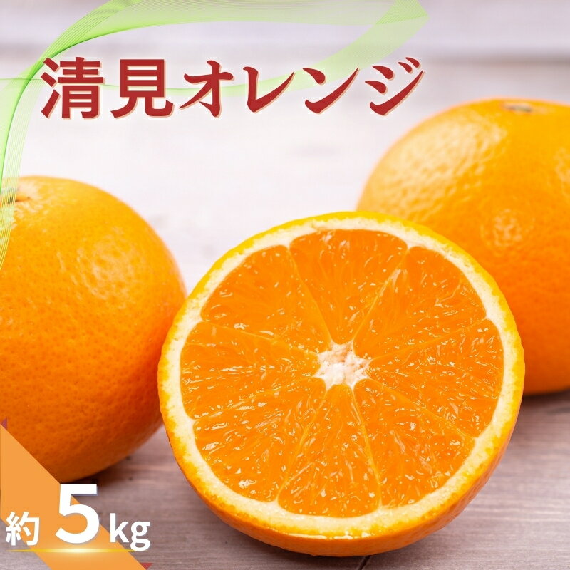【ふるさと納税】 【ご家庭用】清見オレンジ 約5kg 【2026年3月上旬～下旬ごろ順次発送予定（お届け日指定不可）】清見オレンジ オレンジ みかん ミカン 柑橘 フルーツ 果物 くだもの 人気 旬 産地直送