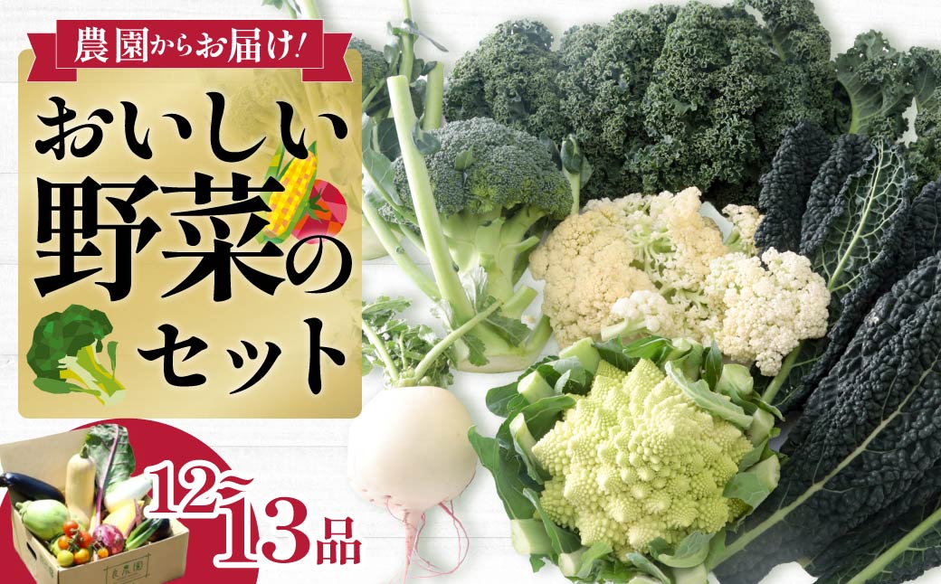 西洋野菜 一般野菜 旬野菜セット 12～13品 | 減農薬 野菜ソムリエ 旬野菜 イタリア野菜 珍しい 食べ比べ 生野菜 サラダ 野菜セット 詰め合わせ ギフト レシピ 贈り物 国産 朝採れ 新鮮野菜 季節の野菜 産直 食品ギフト 手土産 良農園 群馬県 前橋市