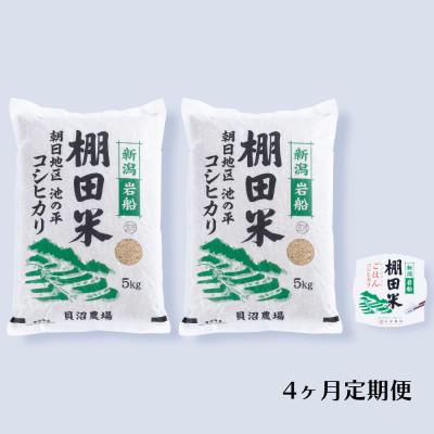 ふるさと納税 村上市 【毎月定期便】棚田米コシヒカリ(玄米) 10kg+パックごはん 1個 [125]全4回