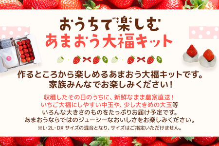 あまおう大福手作りキット（あまおう2パック）　BD03