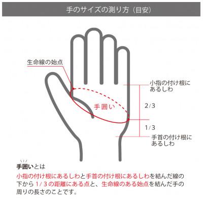 ふるさと納税 東かがわ市 メンズゴルフグローブ　H-ONE GRAPHIC MODEL (3色セット)23cm |  | 01