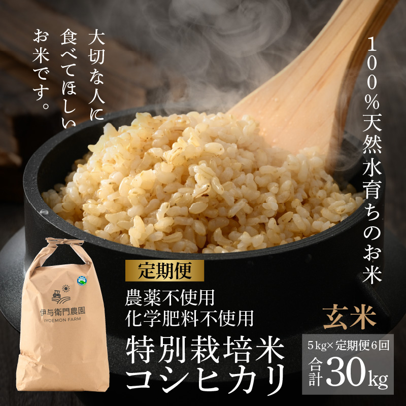 【先行予約】【令和7年産 新米】《定期便6回》伊与衛門農園のコシヒカリ 玄米 5kg （計30kg）特別栽培米 化学肥料不使用  ＜温度と湿度を常時管理し新鮮米を出荷！＞／ 高品質 鮮度抜群 福井県あ
