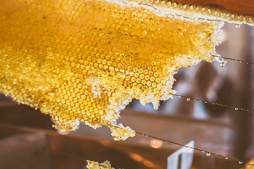 はちみつ 安芸高田はちみつ 200g×2本セット ハチミツ 蜂蜜