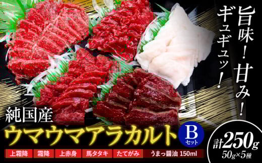 馬刺し 純国産 ウマウマ アラカルト Bセット（たてがみ） 専用醤油付き 50g ×5種 計250g 有限会社九州食肉産業《90日以内に出荷予定(土日祝除く)》熊本県 産山村 純国産 馬刺し 国産 熊本肥育 馬刺 馬肉 詰め合わせ 贈答用 ギフト お中元 お歳暮