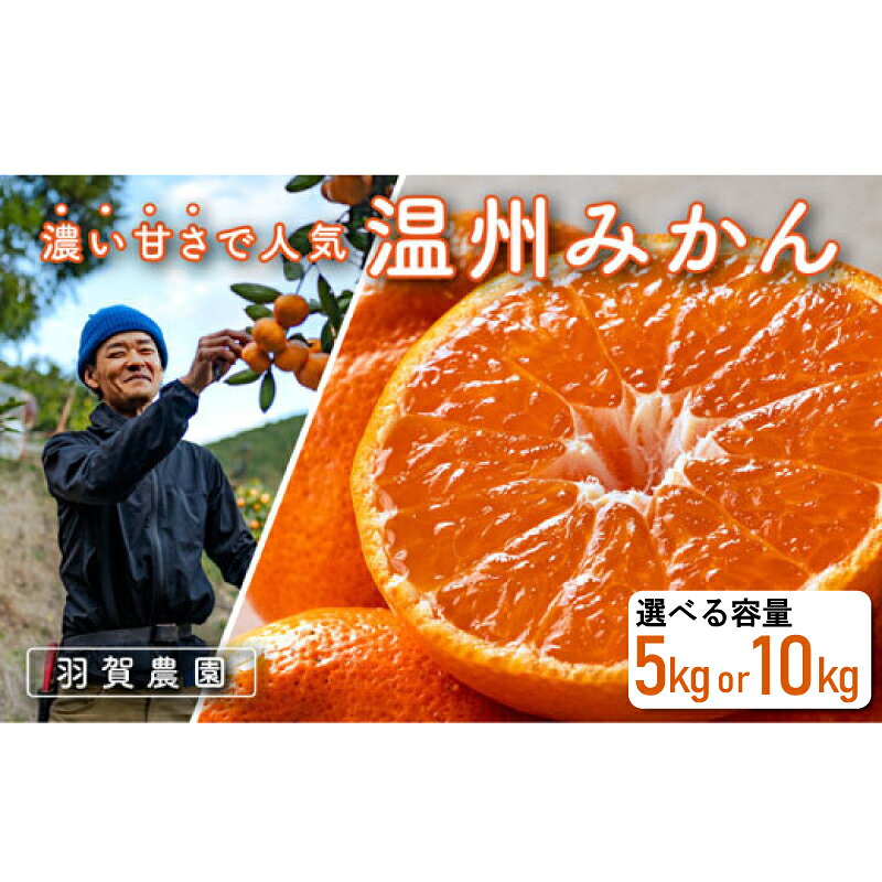 【ふるさと納税】 温州みかん 5kg 10kg みかん 蜜柑 ミカン 柑橘 果物 フルーツ ふるさと納税 みかん ふるさと納税 温州みかん 5kg ふるさと納税 温州みかん 10kg ふるさと みかん ふるさと 温州みかん宿毛市 高知県