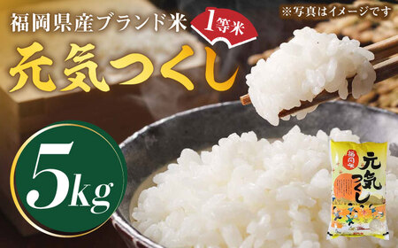【先行予約】【令和7年産】福岡県産ブランド米「元気つくし」白米 5kg【2025年11月以降順次発送】《築上町》【株式会社ゼロプラス】 [ABDD001] お米 白ご飯 元気つくし ブランド米 おにぎり