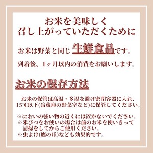 夢しずく 新米 佐賀県産 無洗米 五つ星お米マイスター厳選 夢しずく【20kg(5kg×4)】【先行予約】