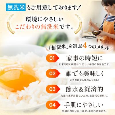 ふるさと納税 宝達志水町 米 令和7年 無洗米 こしひかり 精米 5kg [中橋商事 石川県 宝達志水町 38601204] |  | 02