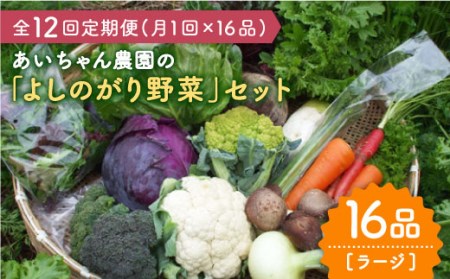 【16品 / 12回定期便】「よしのがり野菜」セット（ラージ）吉野ヶ里町/吉野ヶ里あいちゃん農園 減農薬 有機肥料 1年間 [FAA010]