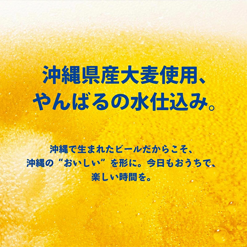【定期便6回】オリオン ザ・ドラフト＜350ml×24缶＞が毎月届く【価格改定YD】_イメージ4