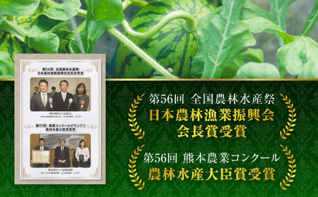【先行予約】【4回定期便】スイカ・メロン 厳選定期便  化粧箱入り【前田ファーム】西瓜 すいか アールスメロン 黒小玉スイカ 熊本 [ZCM013]