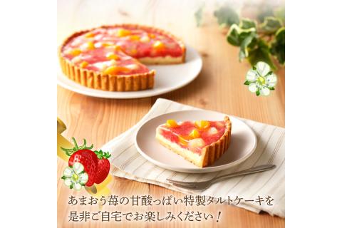 【A4-032】あまおう苺のタルトケーキ 6号(約18cm)4～6人分