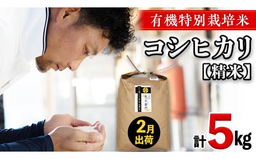 令和8年産 ＜ 2月出荷 ＞ 精米 5kg 三百年 続く農家 の 有機特別栽培米 コシヒカリ 有機栽培 農創 米 こめ コメ ごはん ご飯 精米 白米 国産 茨城県産 おいしい 新生活 プレゼント 新生活応援 必要なもの 便利 おすすめ 消耗品 一人暮らし 二人暮らし 必要