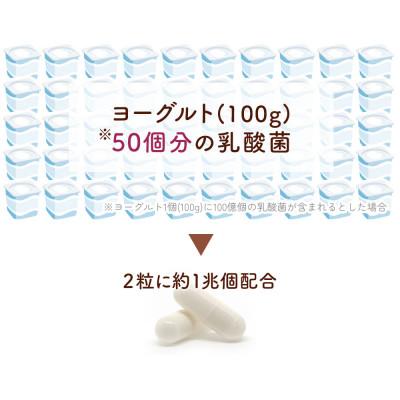ふるさと納税 瑞穂町 日本の発酵食品からとれた「腸活乳酸菌カプセル」60粒×1袋(1袋:18g) |  | 01
