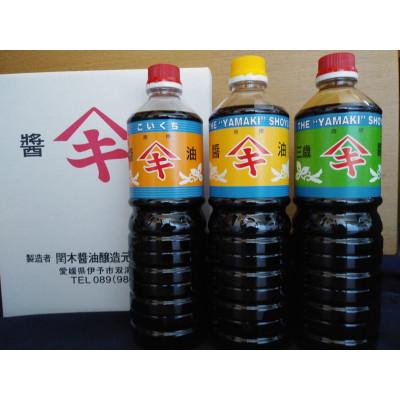 ふるさと納税 伊予市 愛媛県伊予市　閏木醤油(濃口、淡口、三歳醤油)3本セット