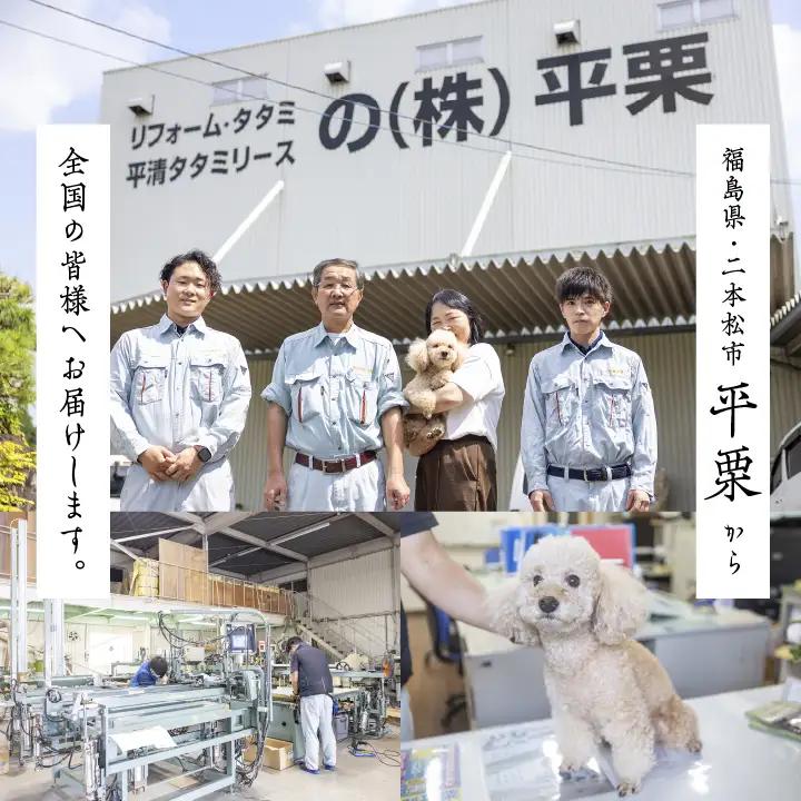 お部屋に和のくつろぎを！敷くだけ畳マット～銀鼠色～【株式会社平栗】