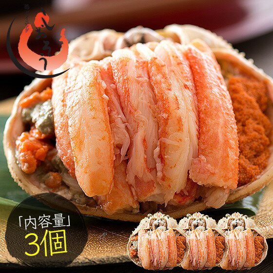 【ふるさと納税】1度で4度楽しめる セイコ蟹 甲羅盛り 約70g × 3個 セット【海鮮 蟹 かに せいこがに 内子 外子 越前蟹 雌 かに味噌 お酒のアテ つまみ 冷凍 お中元 お歳暮 ギフト 贈り物 プレゼント 先行予約】