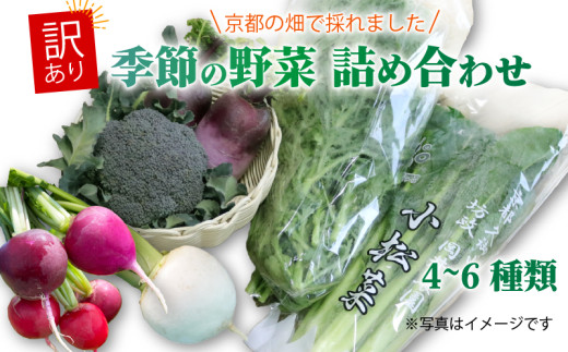 訳あり 京都 季節の野菜 セット 4～6品 詰め合わせ 小松菜 ルッコラ わさび菜 菊菜 ねぎ なす 大根 ブロッコリー トマト 久御山 野菜 サラダ おひたし 鍋  食育