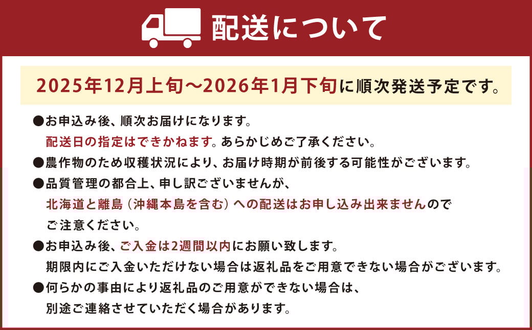 福岡産【冬】あまおう2パック 