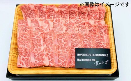 【和牛の旨味を堪能！】博多和牛 焼肉用 500g《築上町》【株式会社MEAT PLUS】 [ABBP012] おすすめ焼肉 定番焼肉 焼肉 和牛焼肉 博多和牛焼肉 焼肉おすすめ 焼肉人気 焼肉炒め物 