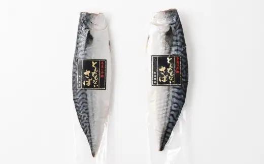 とんでもない鯖 半身 6枚入り さば 鯖 サバ 干物 ひもの 干し 魚 魚介 おつまみ 肴 ご飯のお供 おかず