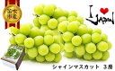 【ふるさと納税】＜25年発送先行予約＞厳選高級シャインマスカット1.5kg（3房） ふるさと納税 おすすめ ランキング シャインマスカット 笛吹市 国産 人気 期間限定 ぶどう ブドウ 葡萄 旬 果物 フルーツ デザート 山梨県 送料無料 082-012