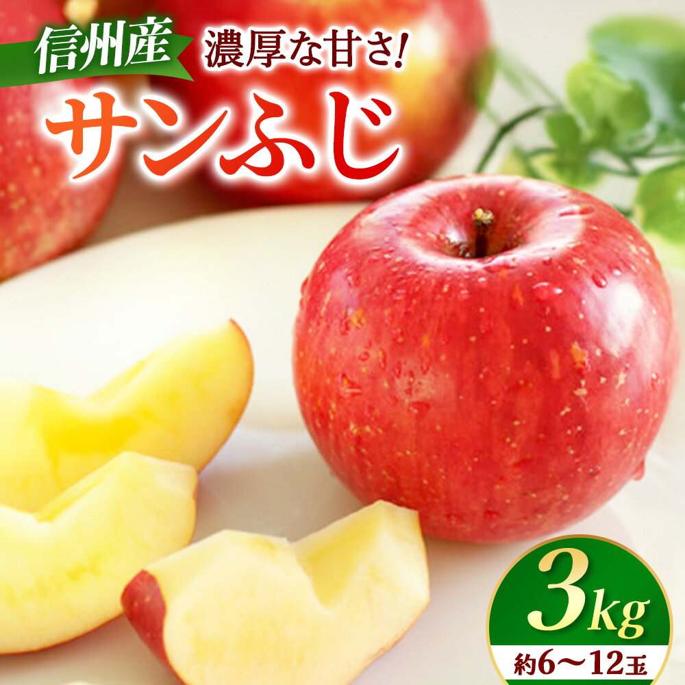 【ふるさと納税】＜先行予約＞りんご　サンふじ　約3kg　＜2026年11月下旬～12月中旬発送予定＞　リンゴ｜長野県産｜果物｜くだもの