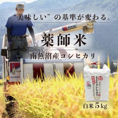 ふるさと納税 南魚沼市 【令和8年新米予約】【南魚沼市食味コンテスト優秀賞】南魚沼産コシヒカリ 薬師米 白米5kg