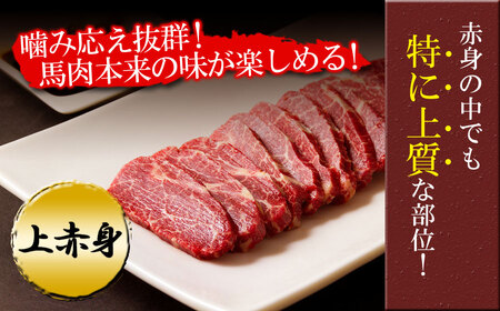 赤身馬刺し500g 専用醤油付き150ml×1本 桜屋 熊本県 阿蘇市