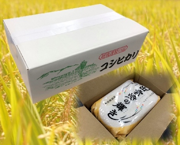 新米 新潟県産 コシヒカリ ブランド米 「出雲崎の輝き」 5kg×3か月 出雲崎 令和7年産 定期便 合計15kg | コシヒカリ