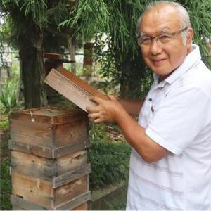 日本蜜蜂のハチミツ100％！はちみつ（逆さ容器300ｇ2本）  高級 自然食品 無添加 ニホンミツバチ