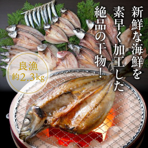 2410R_【父の日ギフト】良漁2.3kg!磯武さんの訳あり干物