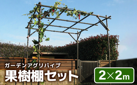 daim ガーデンアグリ果樹棚セット 2m×2m 藤棚・ぶどう棚 [H-18402]